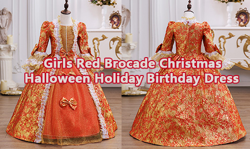 Girls Red Brocade Christmas Halloween Holiday Birthday Party Dress